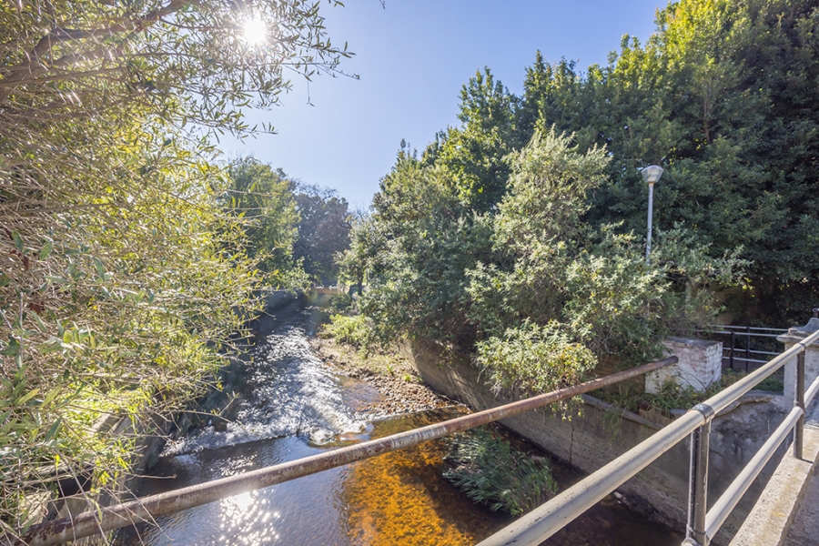 To Let 2 Bedroom Property for Rent in Rondebosch Western Cape